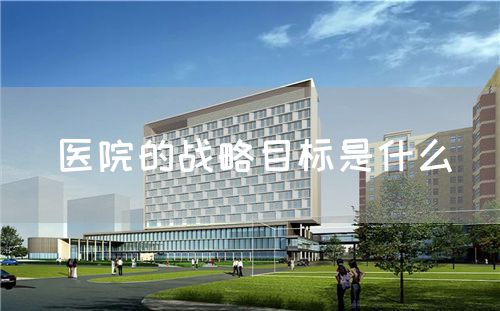 醫(yī)院的戰(zhàn)略目標(biāo)是什么(圖1)