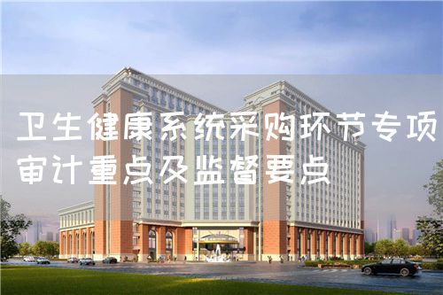 衛(wèi)生健康系統(tǒng)采購環(huán)節(jié)專項(xiàng)審計(jì)重點(diǎn)及監(jiān)督要點(diǎn)(圖1)