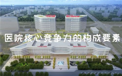 醫(yī)院核心競爭力的構(gòu)成要素(圖1)