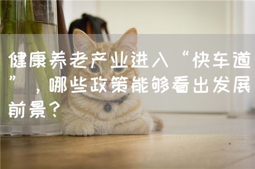 健康養(yǎng)老產(chǎn)業(yè)進入“快車道”，哪些政策能夠看出發(fā)展前景？(圖1)