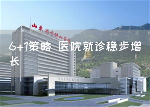 6+1策略 醫(yī)院就診穩(wěn)步增長(zhǎng)(圖1)
