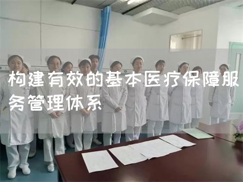 構(gòu)建有效的基本醫(yī)療保障服務管理體系(圖1)