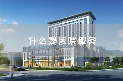 什么是醫(yī)院服務(圖1)
