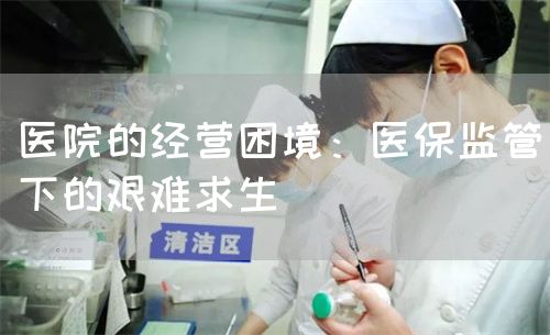 醫(yī)院的經(jīng)營(yíng)困境:醫(yī)保監(jiān)管下的艱難求生(圖1) 醫(yī)院的經(jīng)營(yíng)困境:醫(yī)保監(jiān)管下的艱難求生(圖1)
