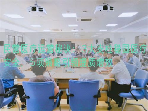 民營醫(yī)療運營秘訣：3大支柱穩(wěn)固醫(yī)療安全，5項策略引領(lǐng)提質(zhì)增效(圖1)