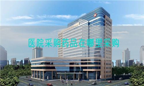 醫(yī)院采購(gòu)藥品在哪里采購(gòu)(圖1) 醫(yī)院采購(gòu)藥品在哪里采購(gòu)(圖1)
