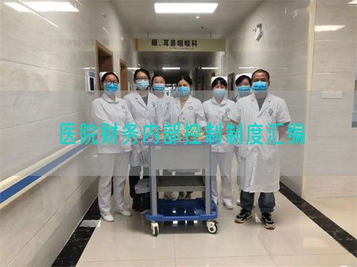 醫(yī)院財務(wù)內(nèi)部控制制度匯編(圖1)