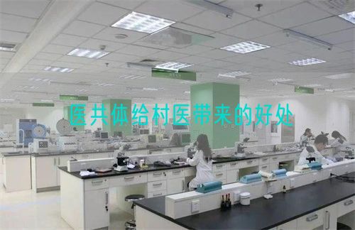 醫(yī)共體給村醫(yī)帶來(lái)的好處(圖1)