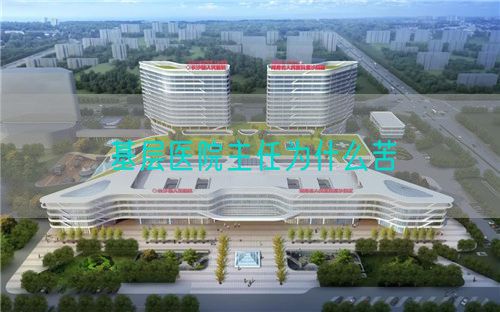 基層醫(yī)院主任為什么苦(圖1)