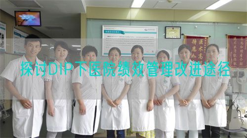 探討DIP下醫(yī)院績效管理改進途徑(圖1)