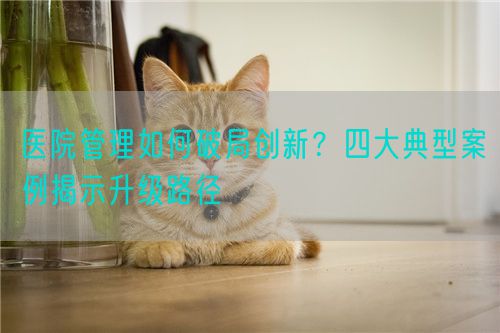 醫(yī)院管理如何破局創(chuàng)新？四大典型案例揭示升級(jí)路徑(圖1)