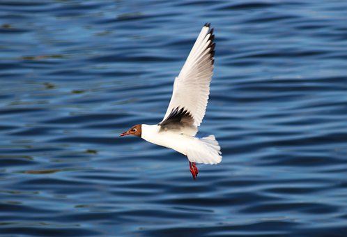 醫(yī)院如何做好6S管理？醫(yī)院6S管理從哪入手？(圖2)